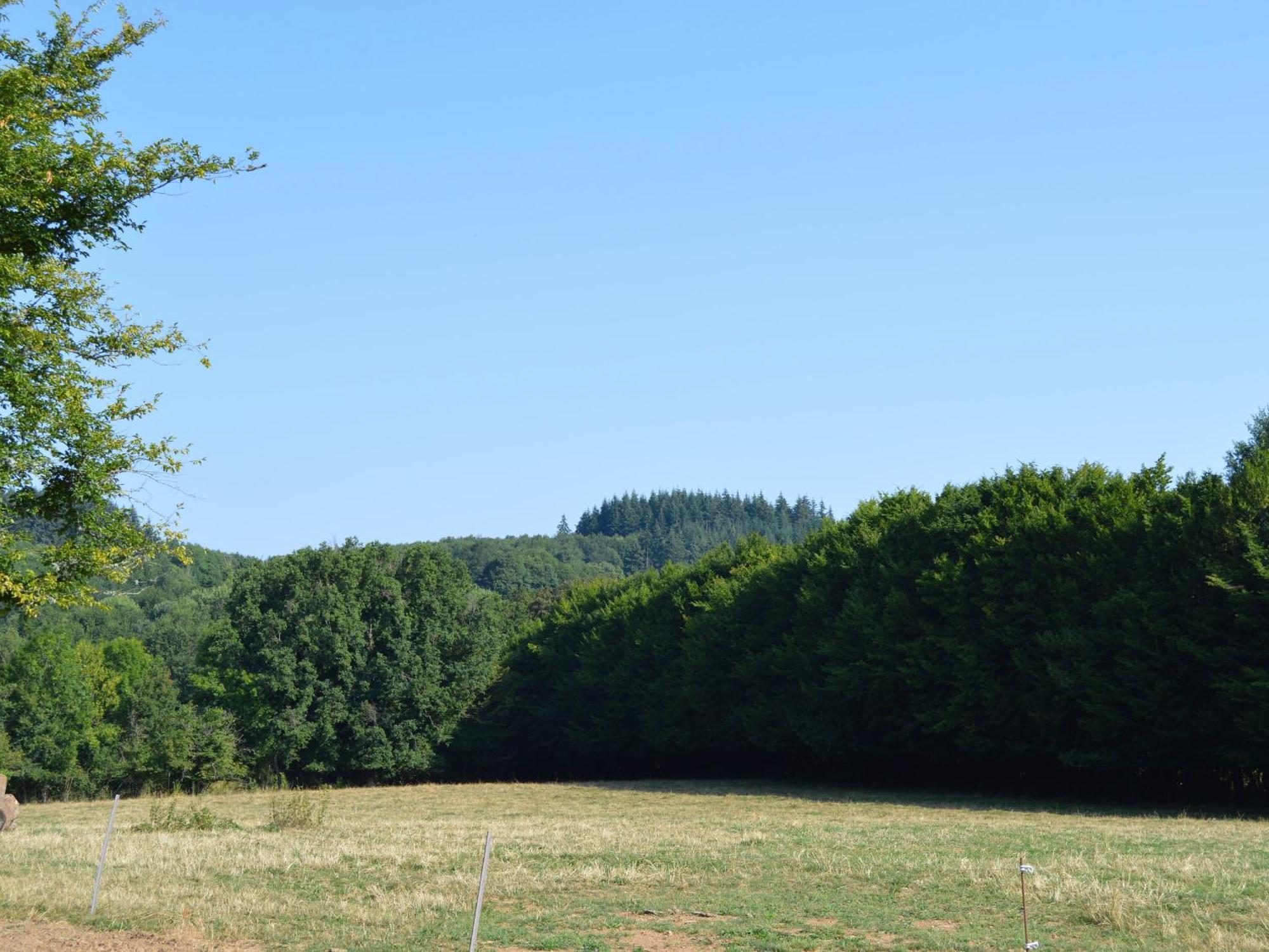 Villa Pouligny-Notre-Dame, 5 pièces, 12 personnes - FR-1-591-155 Esterno foto