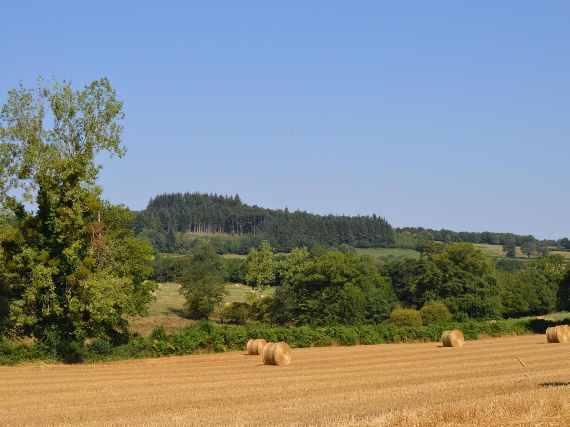 Villa Pouligny-Notre-Dame, 5 pièces, 12 personnes - FR-1-591-155 Esterno foto